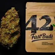 Cinderella | Fastbuds