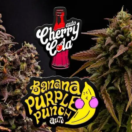 Cherry Cola & Banana Purple Punch