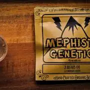 3 Bears OG | Mephisto Genetics