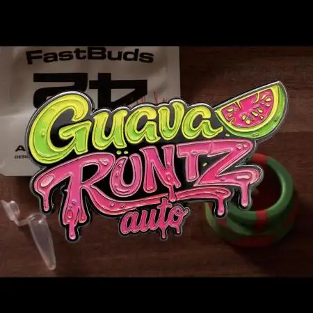 Guava Runtz Auto | Fastbuds