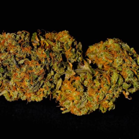 Sweet Seeds | Jet Fuel Mandarine XL Auto l 3 Plants