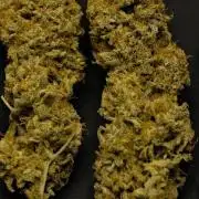 Strawberry Cake Auto | Ganja Farmer