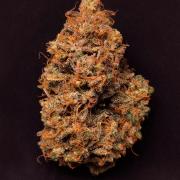 Blue Cheese Auto | RQS