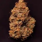 Blue Cheese Auto | RQS
