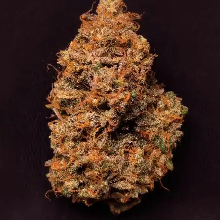 Blue Cheese Auto | RQS