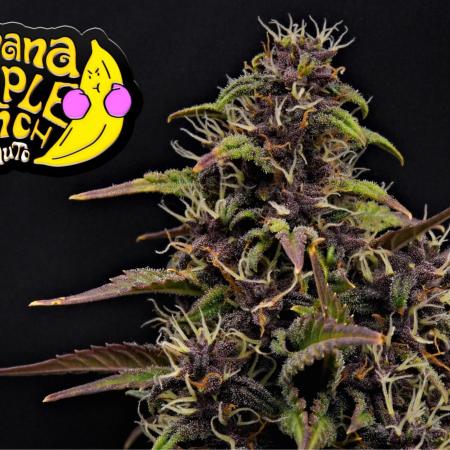 Cherry Cola & Banana Purple Punch