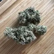 Apple Fritter Auto - Royal Queen Seeds