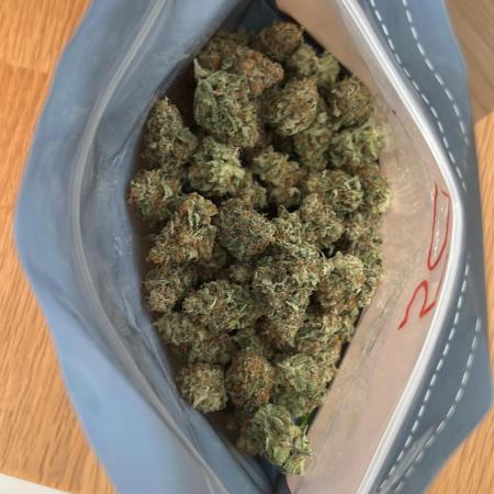 Sweet Cherry Kush - Sensi Seeds