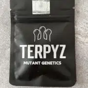 Ice Cream Marker - TerpyZ