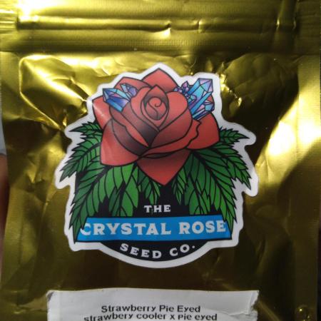 Strawberry Pie Eyed Winter Grow 2025