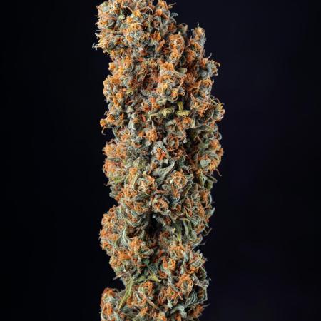 RQS - Candy Kush Express