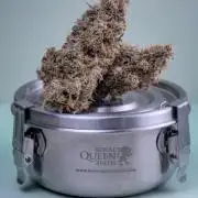 RQS - Gushers