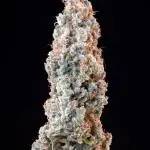 RQS - Wedding Gelato