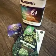 Eternity Cup 2026 - Sticky Brokkoli Auto