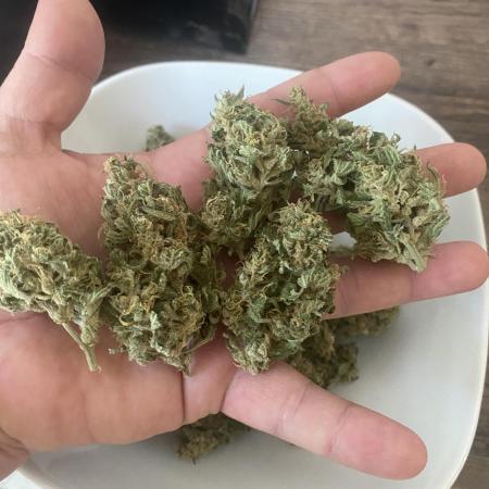 Pineapple Slush XL - SweetSeeds