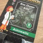 Expert Seeds - Blue Cheese Auto