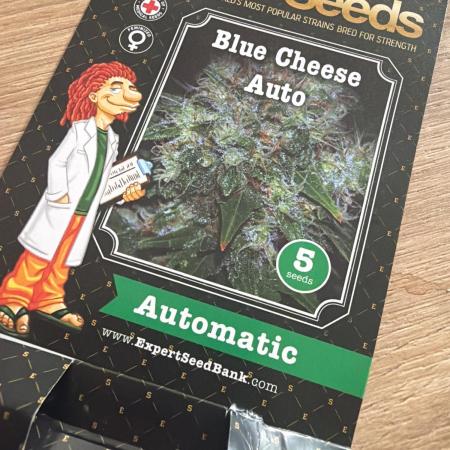 Expert Seeds - Blue Cheese Auto
