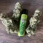 Sweet Seeds - Winter Grow