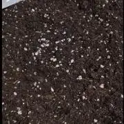 Ganjafarmer  seed test 2026