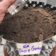 First Pure Instinto Grow