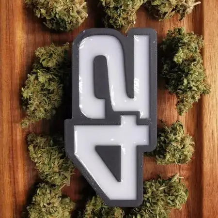 Sour Jealousy Auto Outdoor Grow