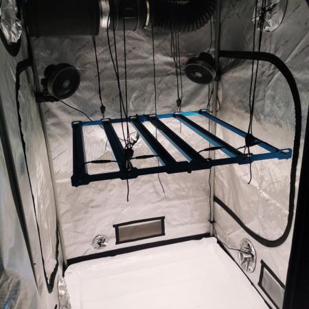 TPB Bestes Grow-Setup