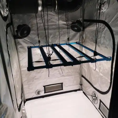 TPB Bestes Grow-Setup