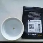 Sour Jealousy Auto Outdoor Grow
