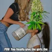 Fast Buds Meme Contest 2