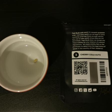 Cherry Cola Auto - Fast Buds