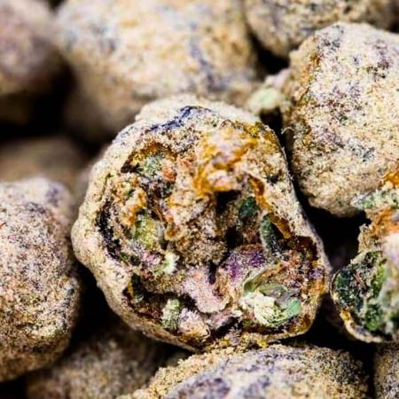 Auto Moon Rock - Divine Seeds Cup!!!!
