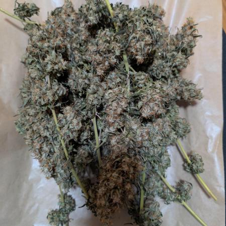 Permanent Jealousy Extract Grow