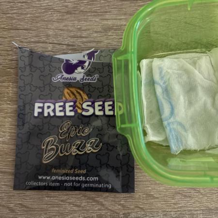 ⚡ Epic Buzz – Energy Overload