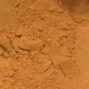 Calypso Sunrocks Cultivation Notes