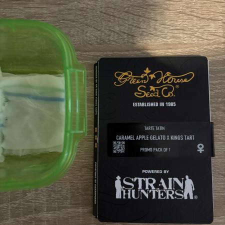 🍏 Tarte Tatin – Sweet & Sticky Run