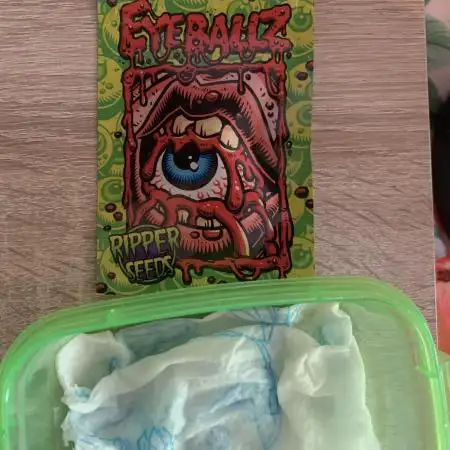 Operation Eyeballz from Start to End