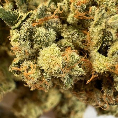 🍊 Mimozz – Glazed in Terps