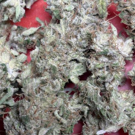 Black Cherry Ice Report