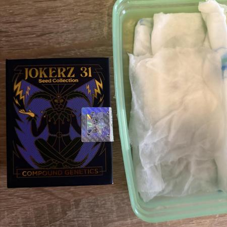 ✨ Strawberry Skilla – Terp Explosion