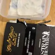 Project Lemon Orange: Zesty & Frosty