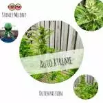 Dutch outdoor xtreme