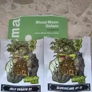 Slurricane#7 x B.M.Gelato x Jelly Breath