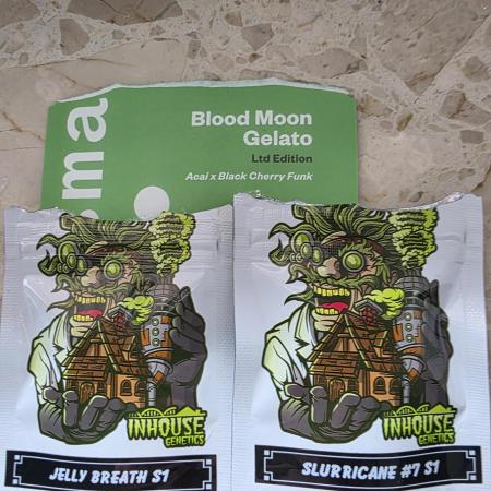 Slurricane#7 x B.M.Gelato x Jelly Breath