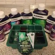 Eternity Grow Cup 2026