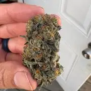 Oh kush - we’ll see