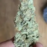 Bruce Banner3
