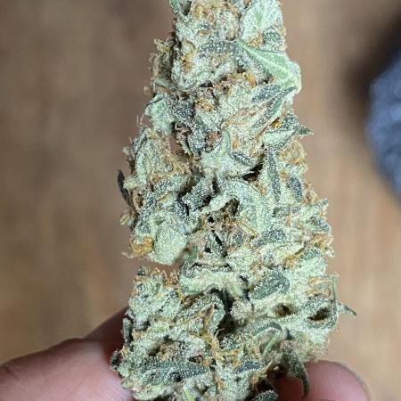 Bruce Banner3