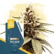 White widow