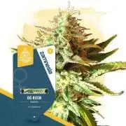 Oh kush - we’ll see