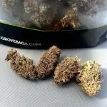 Fast Buds Autos, Lemon Cherry Cookies & Frostbanger